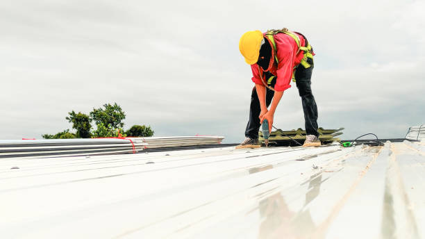 Best Roof Moss and Algae Removal  in Ashford, AL