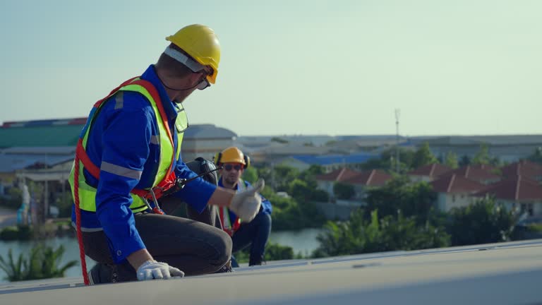 Best Roof Repair  in Ashford, AL