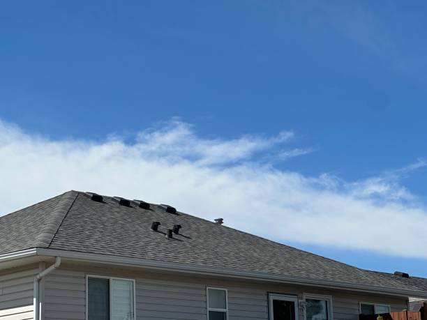 Best Roof Coating and Sealing  in Ashford, AL